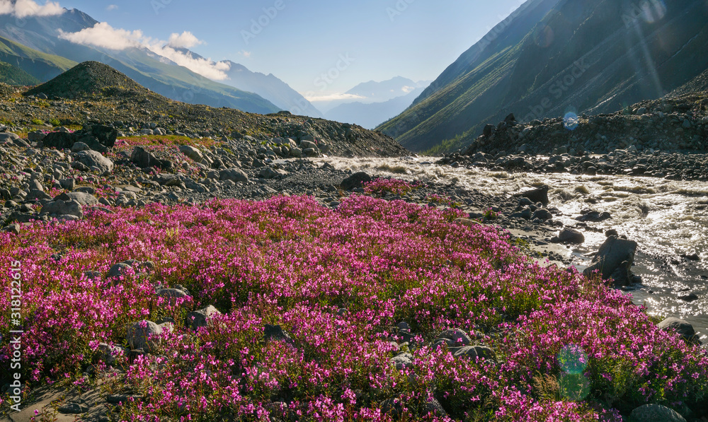 Spring in the mountains, blooming valley. Steep mountain slopes and river.