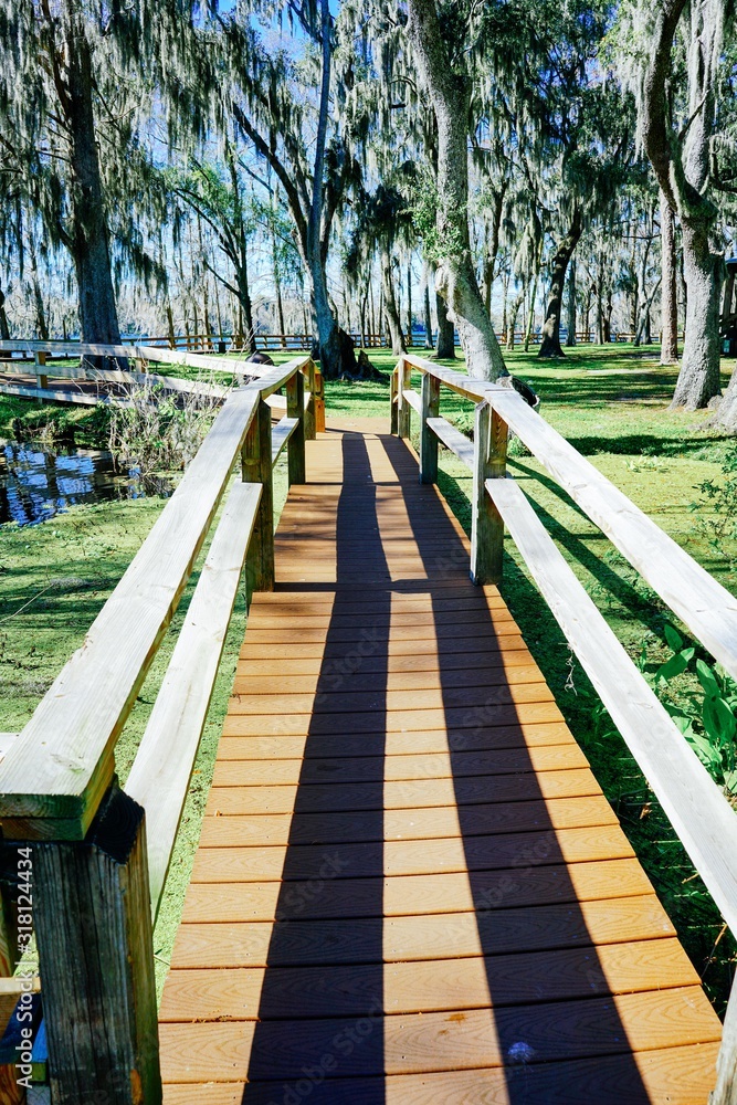 Landscape of Hillsborough river at Tampa, Florida 