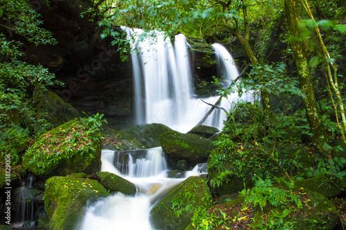 Fototapeta Naklejka Na Ścianę i Meble -  waterfall in forest