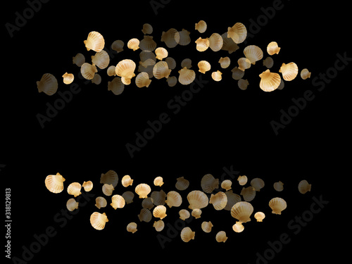 Gold seashells isolated, pearl bivalved mollusks