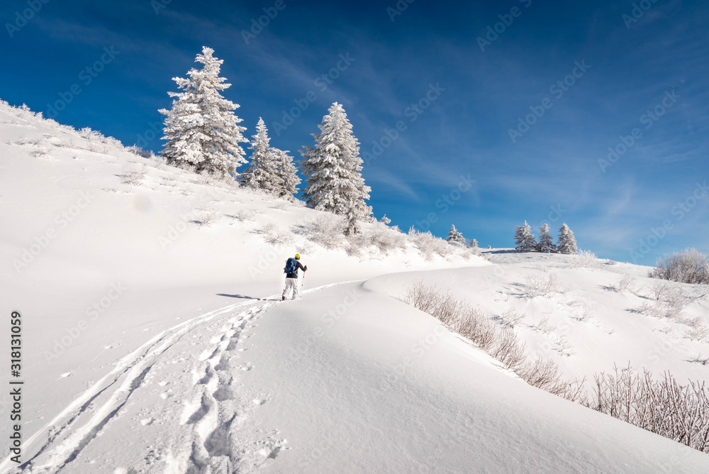 View of the hiker snowshoeing in the winter forest.