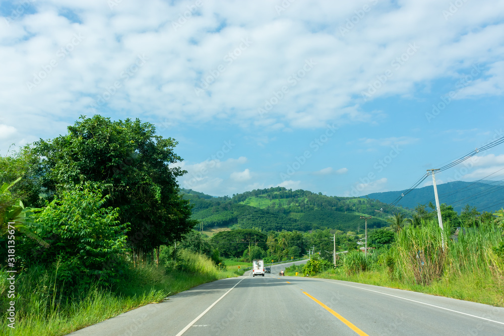 Fototapeta premium Rural asphalt road amidst trees