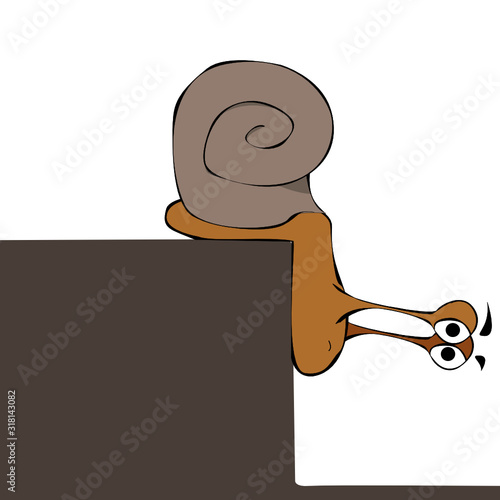 Schnecke