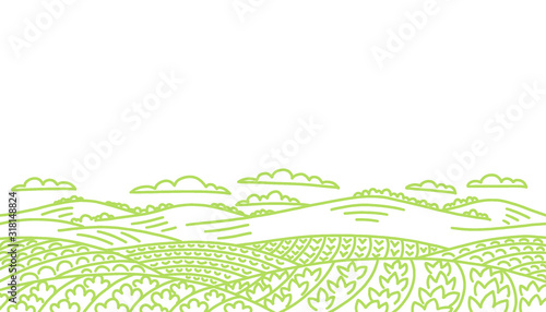 Agricultural field landscape. Vegetables garden farming. Rural countryside. Vector hand-drawn sketch line drawing.
