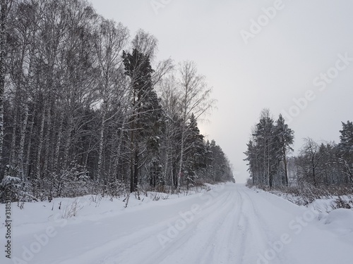 Snowy road in the winter forest © kos1976