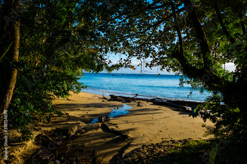 Beach and jungle in Madagascars Masoala National Park photo