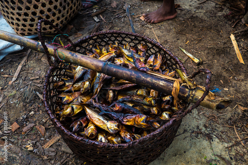 Basket of fish in Madagascars Masoala National Park photo