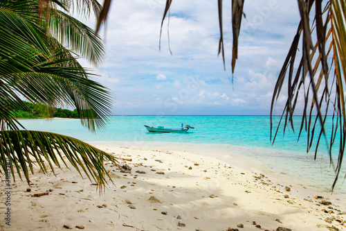 Maldive Islands Sand Beach and green palm foliage view