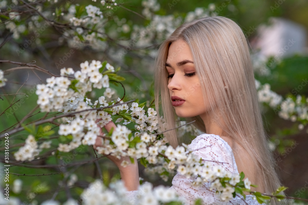 beautiful blonde girl in spring cherry garden beautiful blonde girl in spring cherry garden