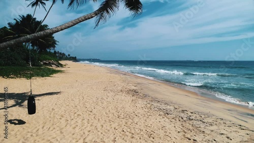 Tropical Paradise with palm's trees on the beach. The free clean place for tourists. Sri lanka
