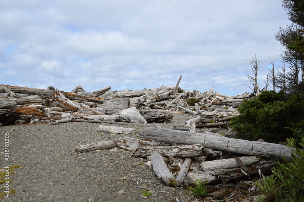 Olympic National Park, Washington Olympic National Park, Washington