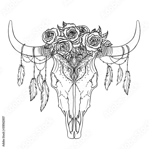 Bull skull with rose flowers and feathers hanging from the horns. Isolated vector illustration. Can be tattoo flash, tote bag print, sticker and more. Boho design, poster, t-shirt textile.