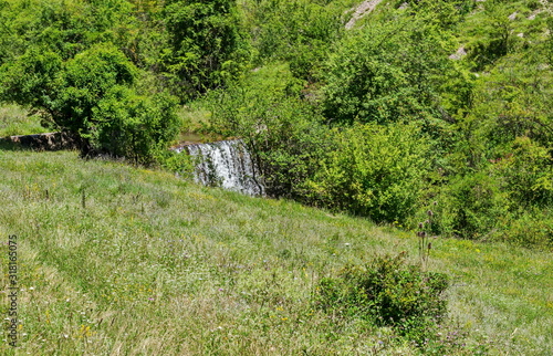 Beautiful  deciduous  forest, fresh glade with different grass and waterfall  in Balkan mountain, near Zhelyava village, Sofia region, Bulgaria    photo