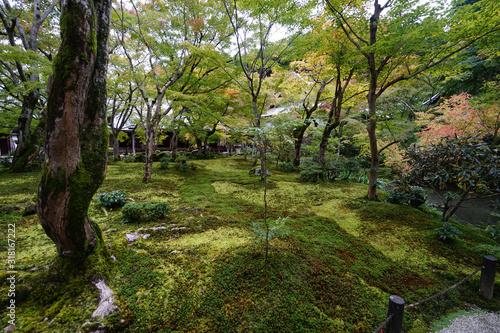 秋の気配が漂う京都圓光寺の庭園