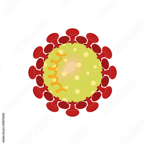 color virus coronaviridae scheme