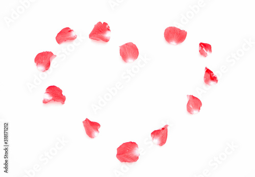 greeting card with red roses and petal of rose with white background