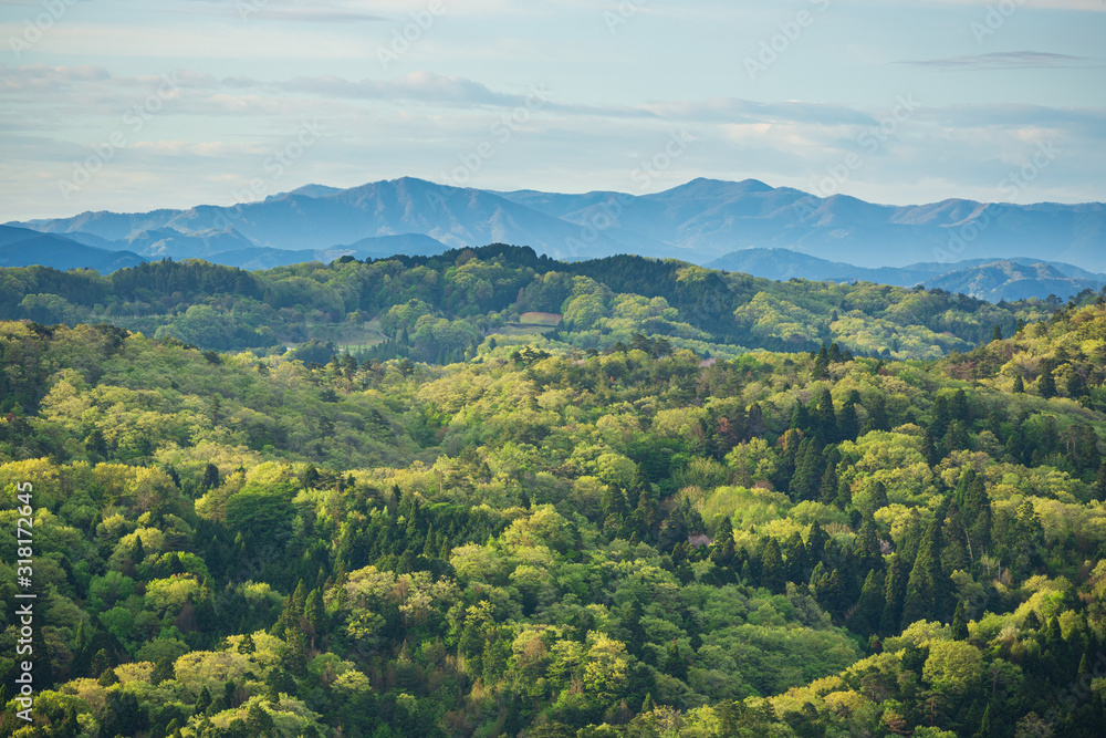 Obraz premium 新緑の山