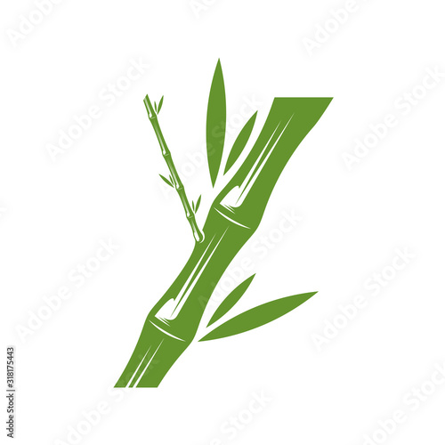 Fototapeta Naklejka Na Ścianę i Meble -  Bamboo logo template. Green bamboo trees vector design. Bamboo stem logotype