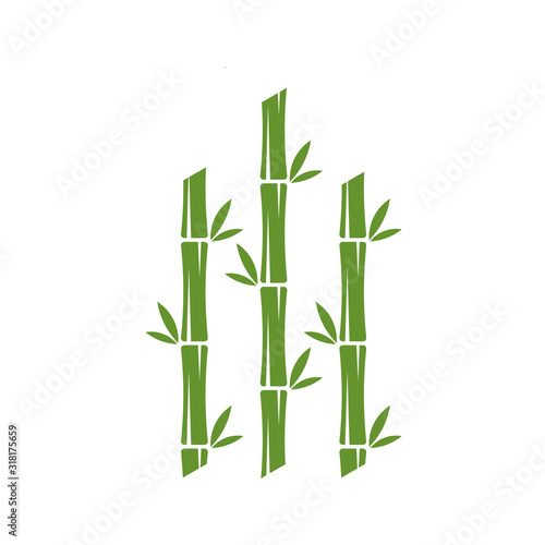 Fototapeta Naklejka Na Ścianę i Meble -  Bamboo logo template. Green bamboo trees vector design. Bamboo stem logotype