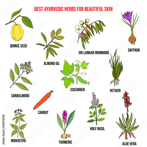 Collection of best ayurvedic herbs for beautiful skin