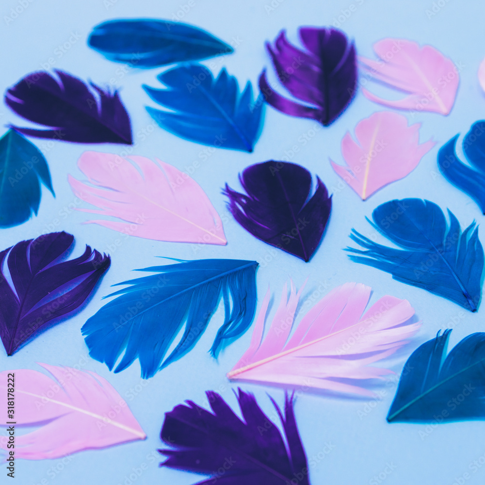 Pattern of multicolored feathers laid out on light blue background.
