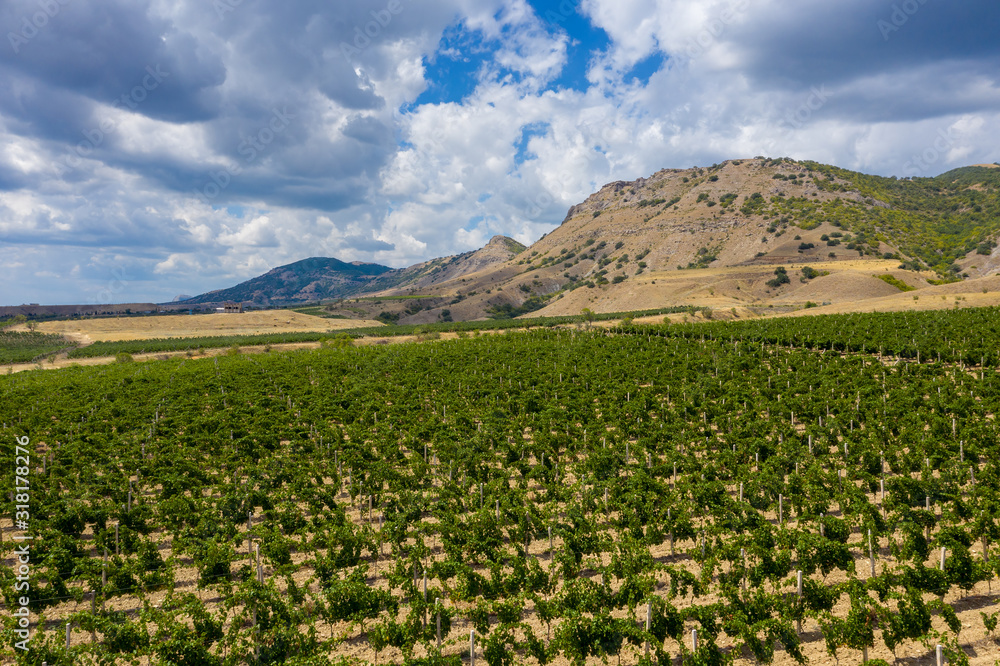 Aerial view of mountain vineyard in Crimea