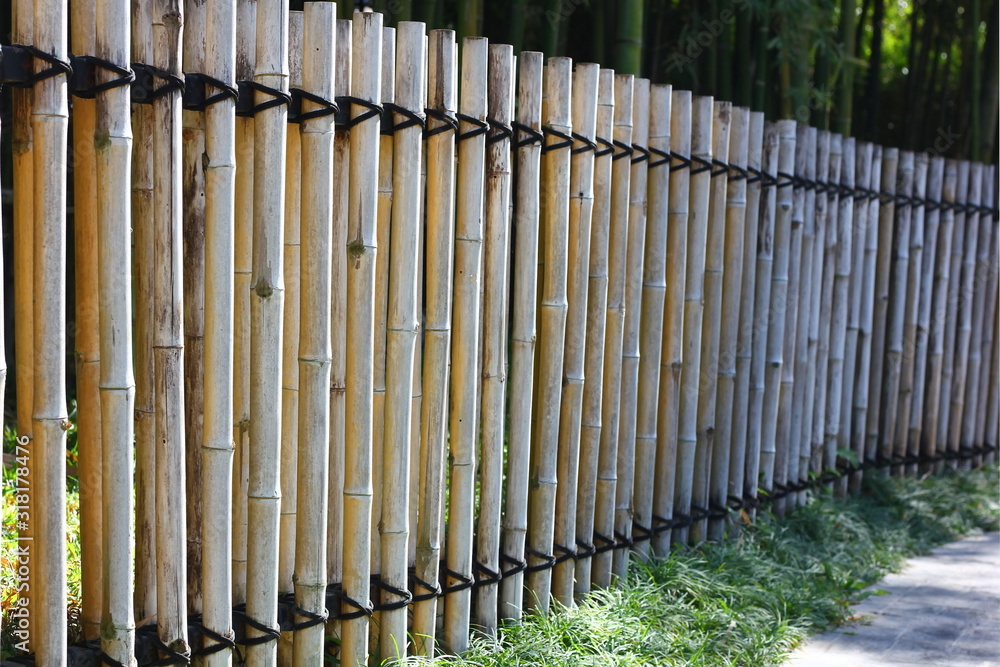 Fototapeta premium bamboo fence making in Japan design. abstract nature wooden wall.