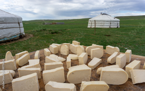 Mongolian gurt from sour milk drying photo