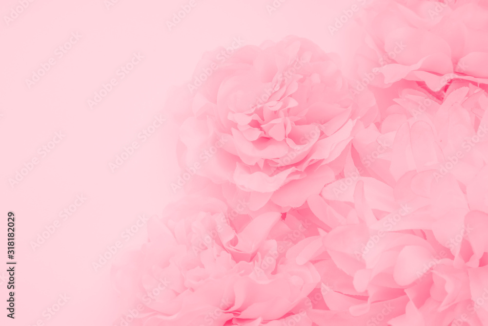 Beautiful abstract color orange purple and pink flowers on white background and white flower frame and pink leaves texture, light pink background, colorful pink banner happy valentine