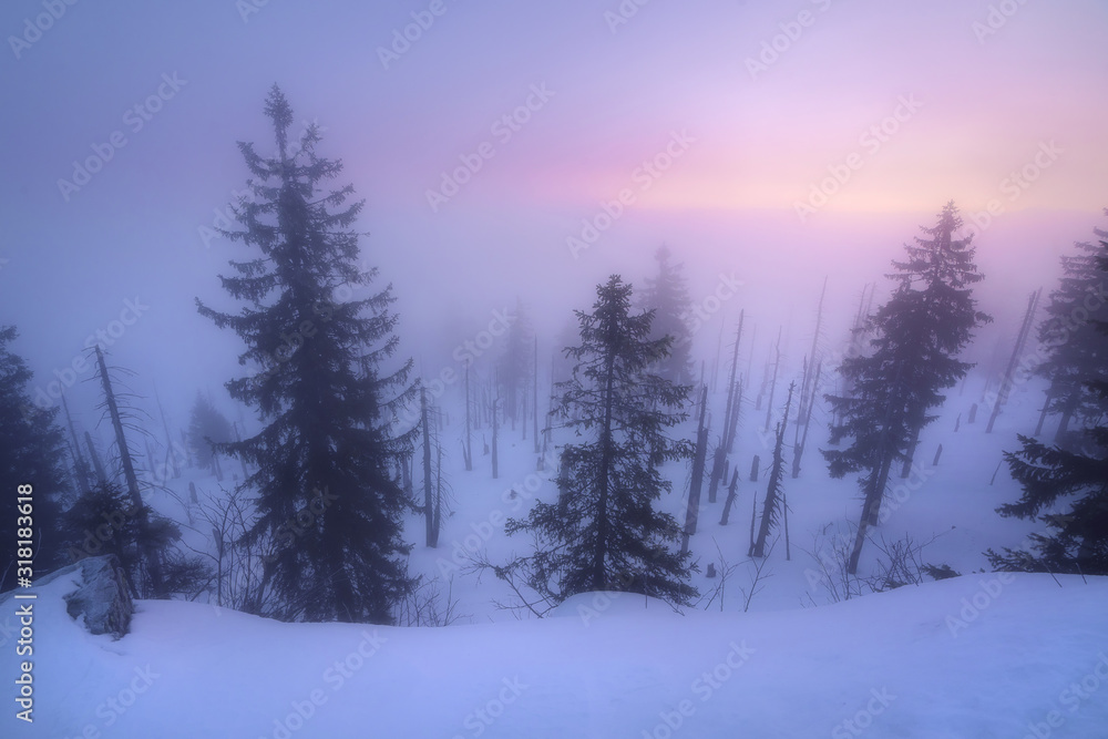 Grosser Rachel Bayerischer Wald Grosser Rachel Bayerischer Wald