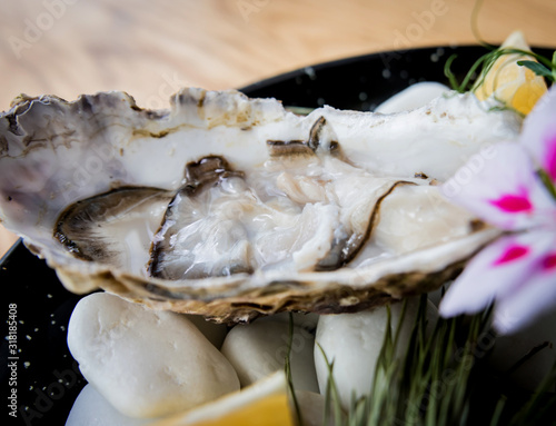 Fresh oysters on a plate with ice and flowers. Restaurant