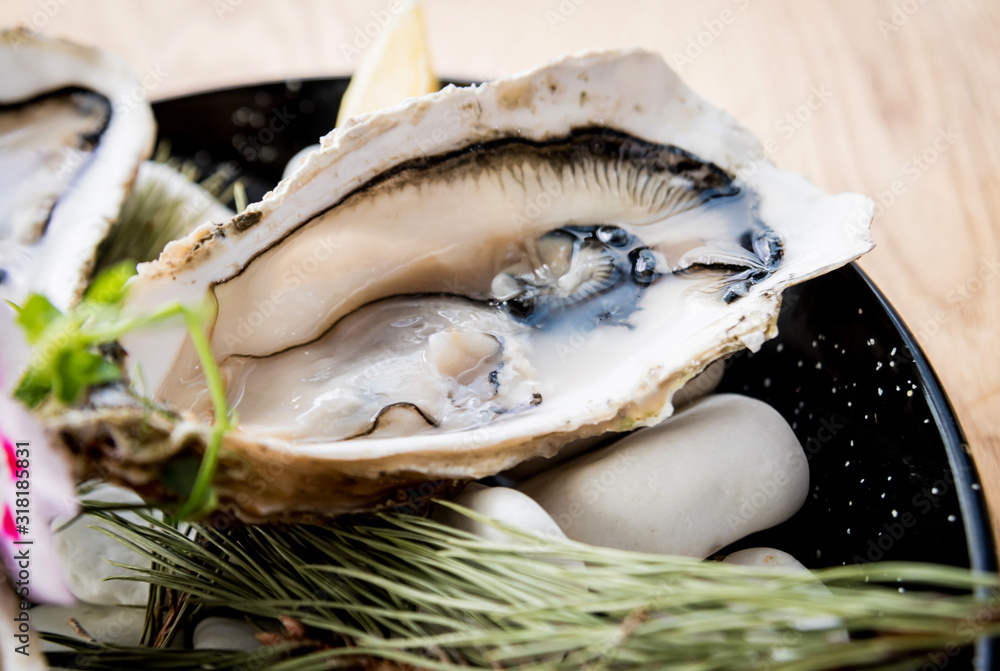 Fresh oysters on a plate with ice and flowers. Restaurant Fresh oysters on a plate with ice and flowers. Restaurant