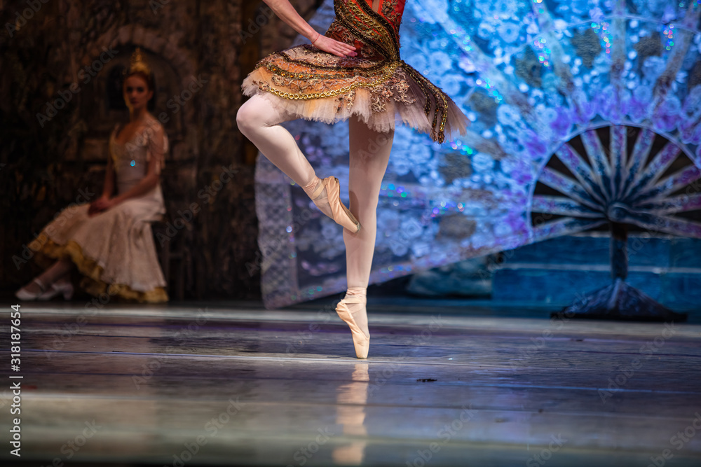 Ταπετσαρία Don Quixote ballet. Closeup of ballerinas dancing