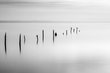 Tuinposter Zwart wit Houten paaltjes in de zee  © Dimitrios