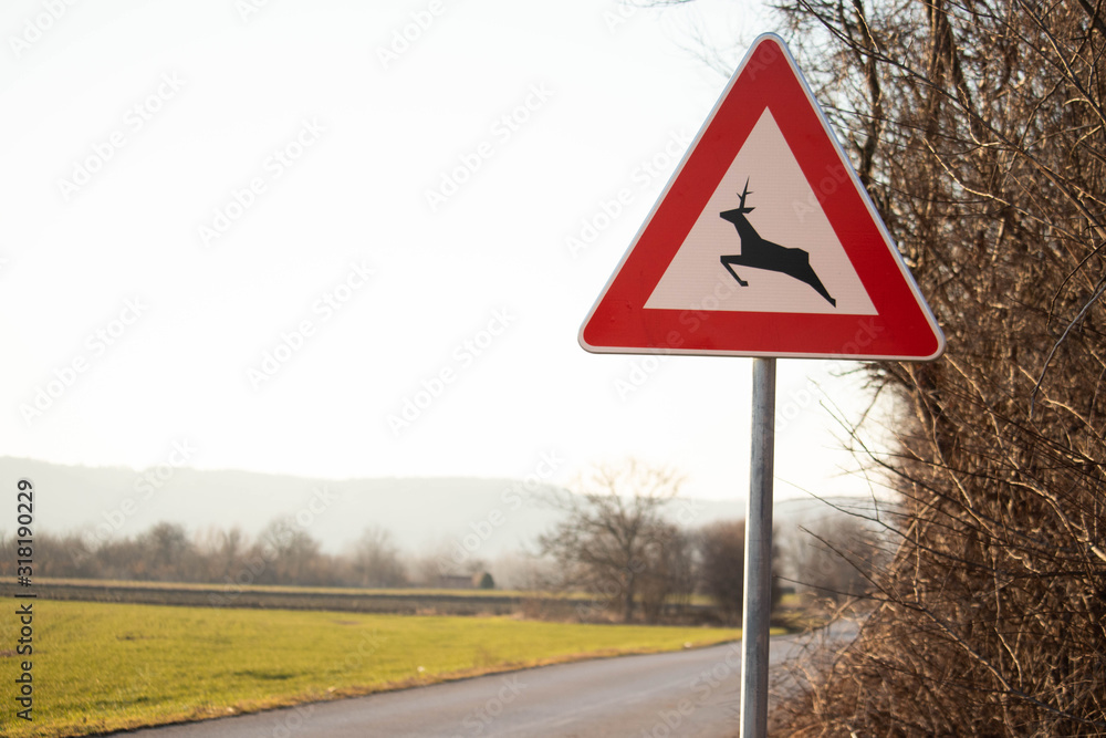 Beware of Deer Crossing the Road Traffic Sign Beware of Deer Crossing the Road Traffic Sign