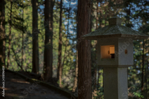 Traditional Japanese lantern with light in the forest © Leo_Ley