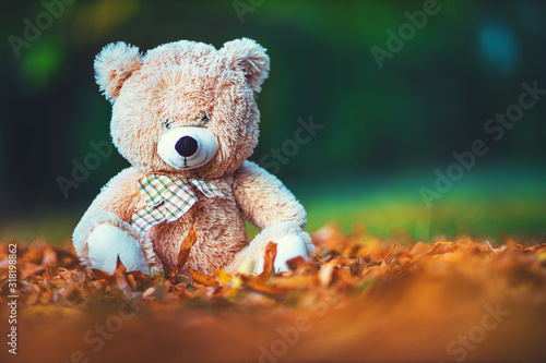 Teddy bear baby toy sitting in fallen colorful leaves outdoor. Autumn park.