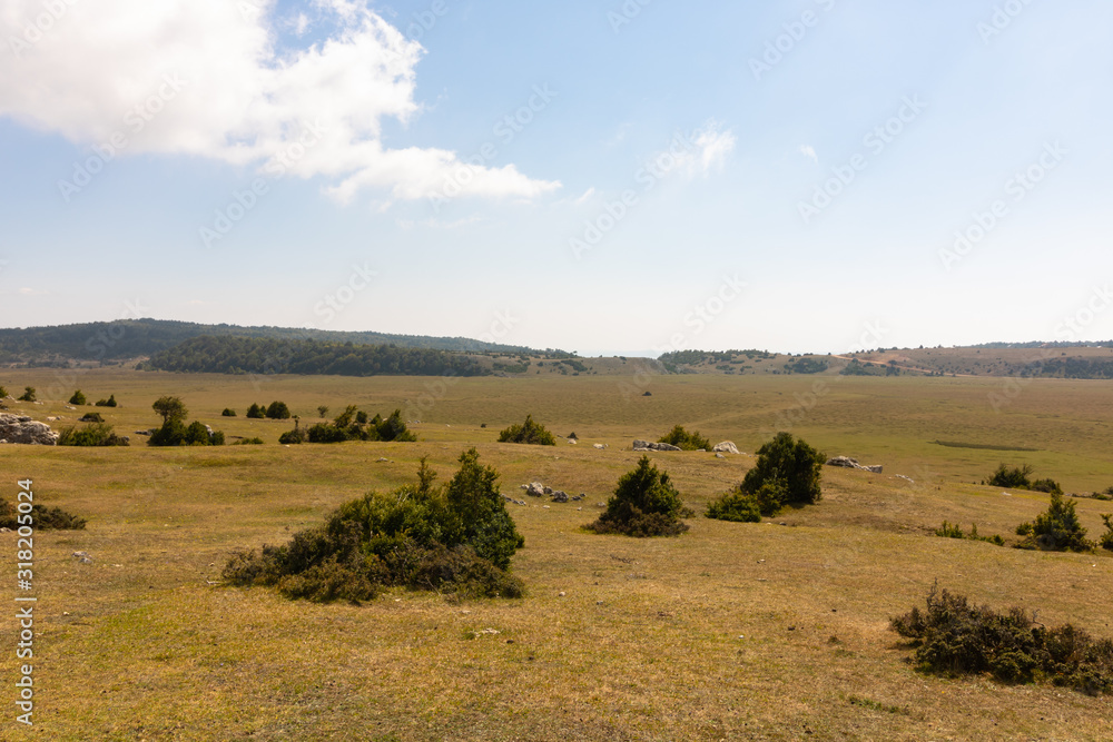 Obraz premium plateau with bushes and forest in the horizon