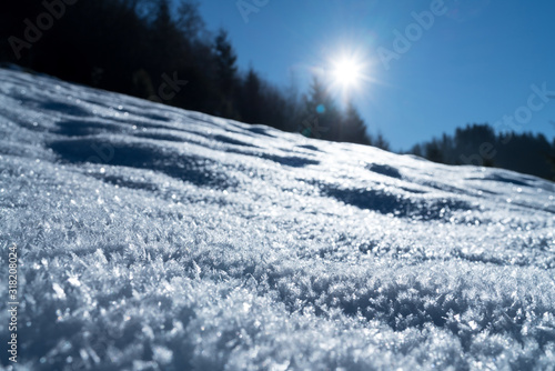 Fototapeta Naklejka Na Ścianę i Meble -  White snow crust winter on the forest slope high definition image with sun back light at Karpaty, Ukraine.
