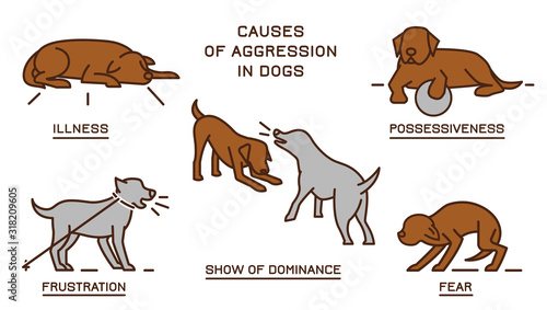 Dog Behavior Poster 2-31