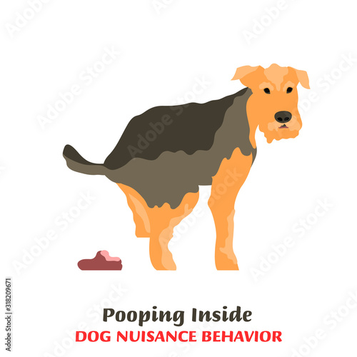 Dog Behavior Problems Icon