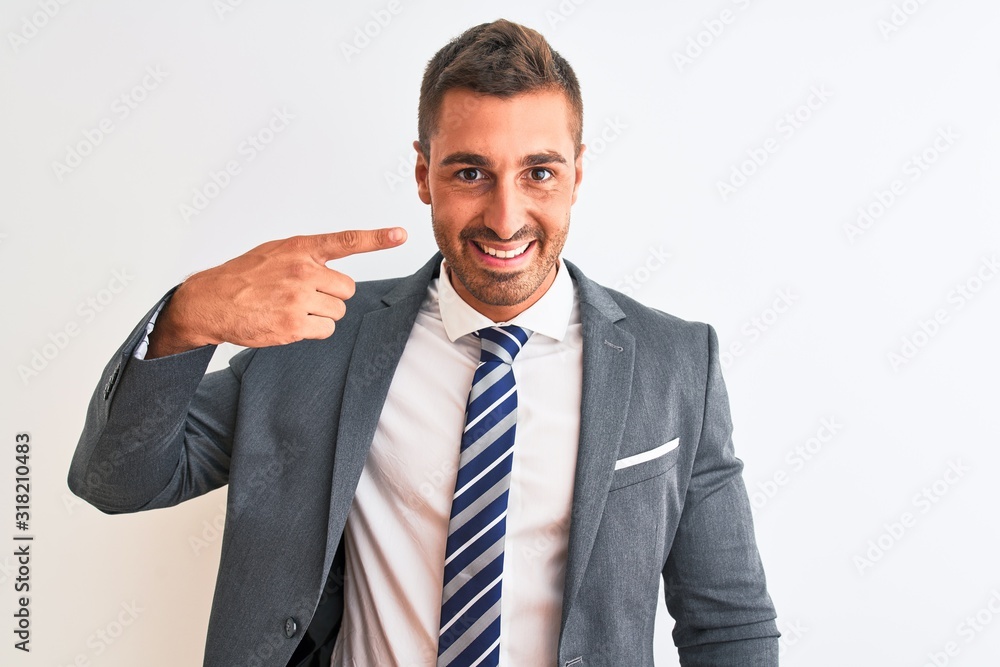Young handsome business man wearing suit and tie over isolated background Pointing with hand finger to face and nose, smiling cheerful. Beauty concept Young handsome business man wearing suit and tie over isolated background Pointing with hand finger to face and nose, smiling cheerful. Beauty concept