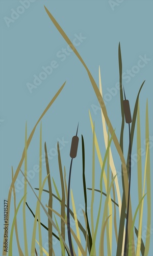 Bush of Swamp Reed on a Lake