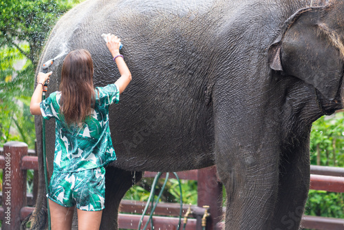 A young woman in bright clothes washes an elephant, watering it with a hose. Rear view. In the background, Park vegetation. Close up