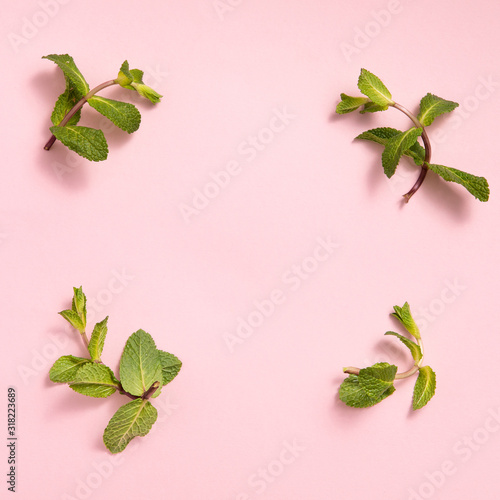 Flat lay mint in abstract style. Copy space, summer concept. Green mint in tr...