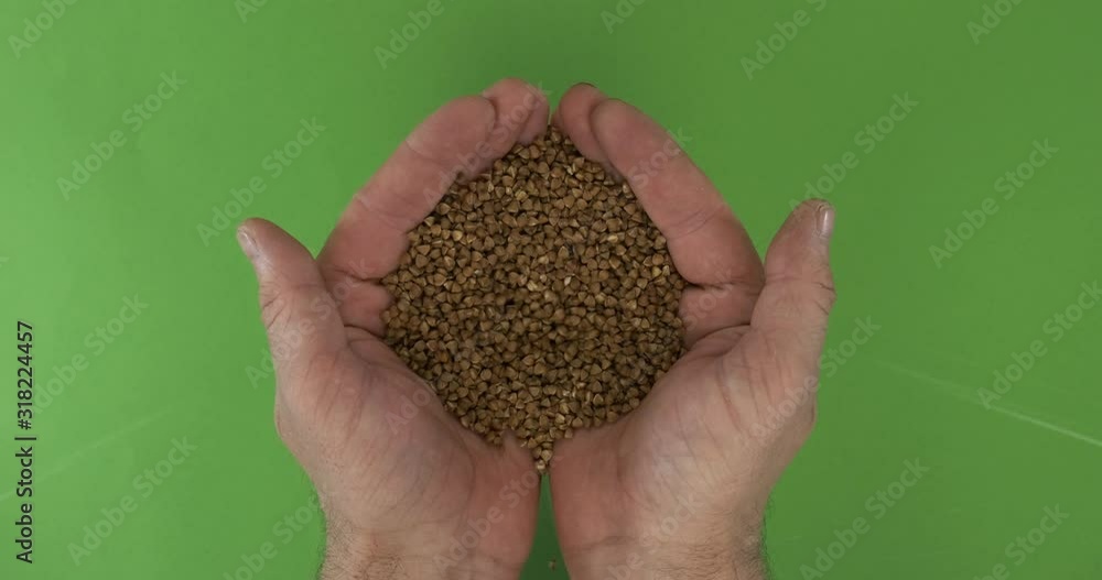 Mens hands hold a heap of buckwheat grains on a green background. Top view. Mens hands hold a heap of buckwheat grains on a green background. Top view.
