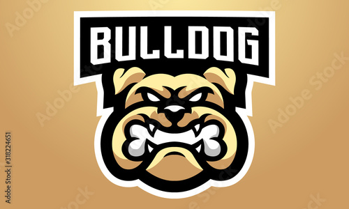 Bulldog Esports Mascot Logo Design-02