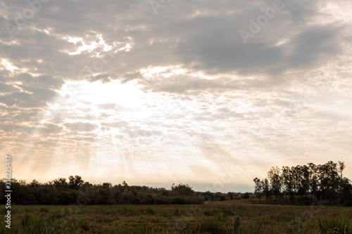 Late afternoon in the southern pampa biome of Brazil