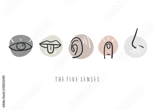 Hand drawn simple icons representing the five senses. Hand drawn doodles.