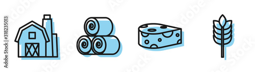 Set line Cheese, Farm House concept, Roll of hay and Cereals with rice, wheat, corn, oats, rye icon. Vector